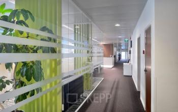 Kantoor te huur op Lange Lozanastraat 142, Antwerpen Centrum met moderne glazen wanden en groene accenten. Rustige gang met deuren naar verschillende kantoorruimtes. Ideaal voor kantoorruimte huren.