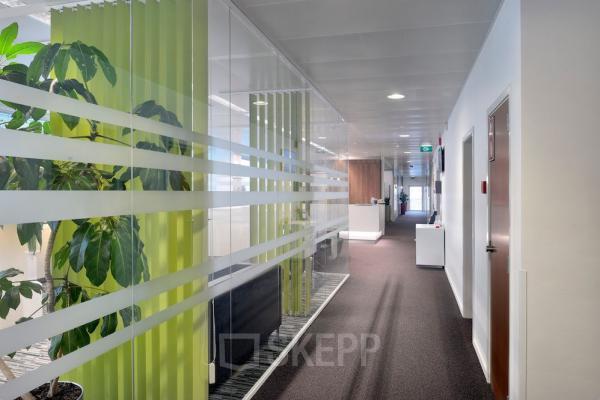 Kantoor te huur op Lange Lozanastraat 142, Antwerpen Centrum met moderne glazen wanden en groene accenten. Rustige gang met deuren naar verschillende kantoorruimtes. Ideaal voor kantoorruimte huren.