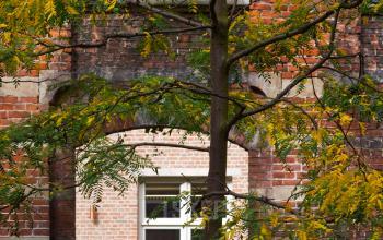 boom in tuin kantoorpand antwerpen