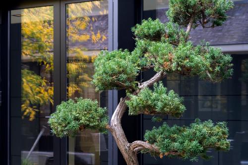 bonsai antwerpen bredeweg kantoor te huur