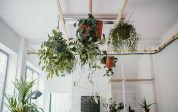 Kantoor te huur Lange Leemstraat 358B, Antwerpen (7)