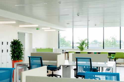 Kantoor te huur op de Davincilaan 1 1 in Brussel Airport, moderne werkruimte met ruime bureaus, ergonomische stoelen en veel natuurlijk licht, ideaal voor productief werken. Groene planten creëren een frisse sfeer.