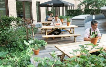 Kantoor te huur Sinter-Goedeleplein - Place Sainte-Gudule 5, Brussel (12)