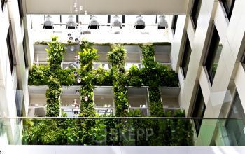 groene wand in kantoorruimte brussel