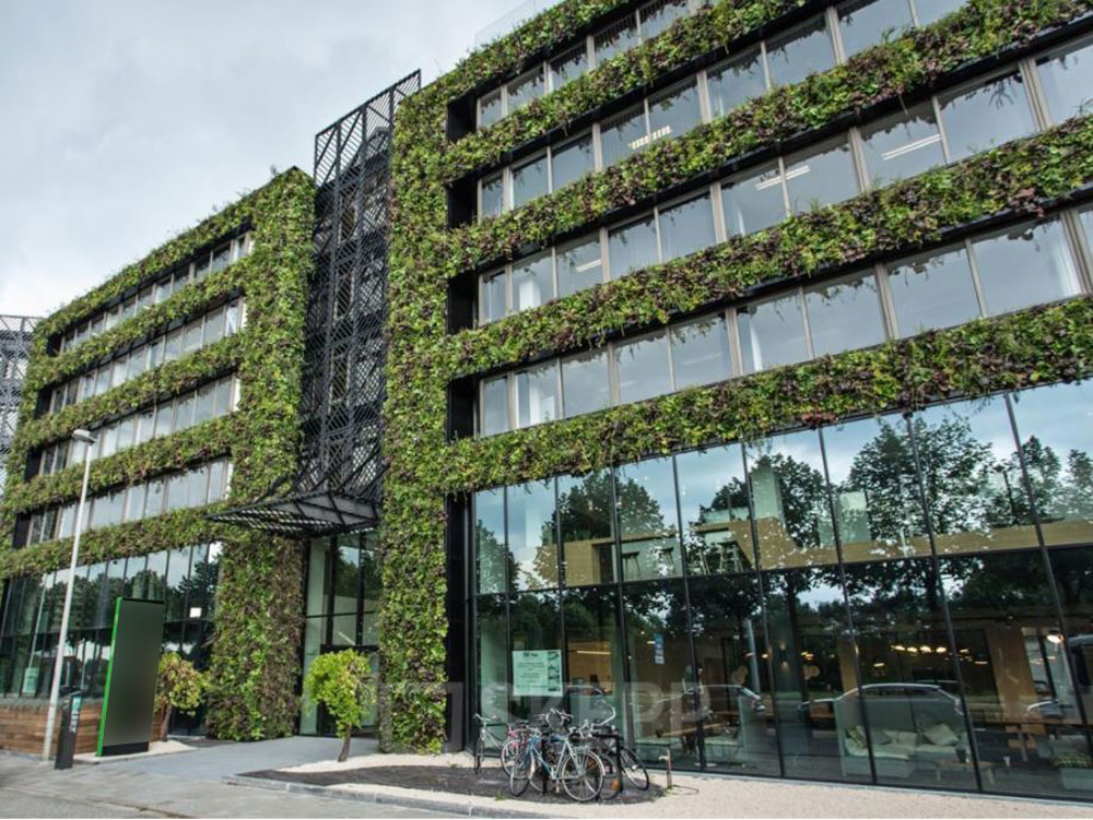 De groene buitenkant van het kantoor